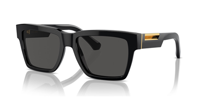 DOLCE GABBANA DG 4465 501/87 55