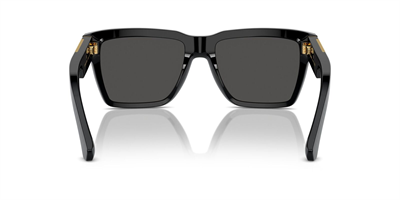 DOLCE GABBANA DG 4465 501/87 55