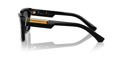 DOLCE GABBANA DG 4465 501/87 55