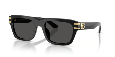DOLCE GABBANA DG 4496 501/87 54