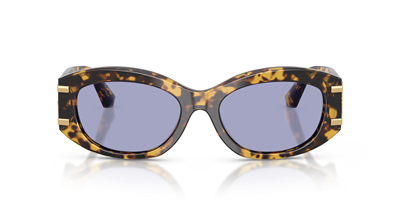 DOLCE GABBANA DG 4502 33301A 55