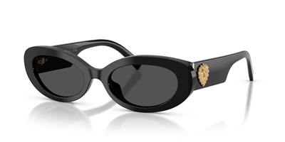 DOLCE GABBANA DG 4537 501/87 53