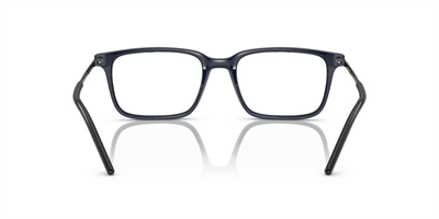 DOLCE GABBANA DG 5099 3094 55