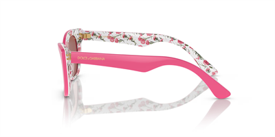 DOLCE GABBANA KIDS DX 4427 3207/Z 49