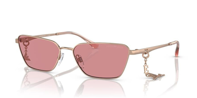 EMPORIO ARMANI EA 2141 3011/84 56