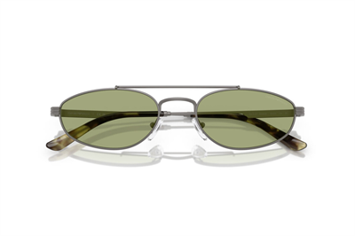 EMPORIO ARMANI EA 2157 300382 54