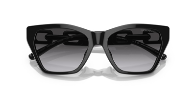 EMPORIO ARMANI EA 4203 5017/8G 55