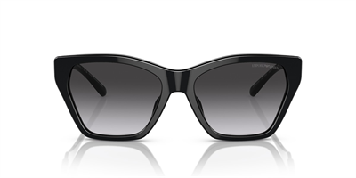 EMPORIO ARMANI EA 4203 5017/8G 55