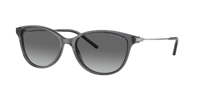 EMPORIO ARMANI EA 4220 610611 54