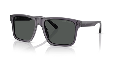 EMPORIO ARMANI EA 4232 610687 57