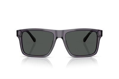 EMPORIO ARMANI EA 4232 610687 57
