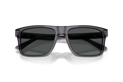 EMPORIO ARMANI EA 4232 610687 57