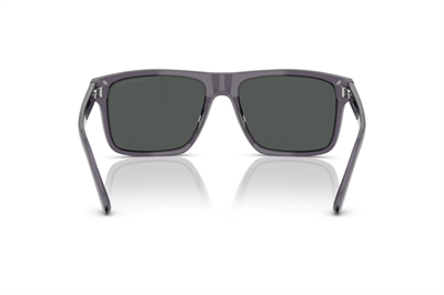 EMPORIO ARMANI EA 4232 610687 57