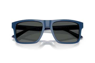 EMPORIO ARMANI EA 4232 617587 57