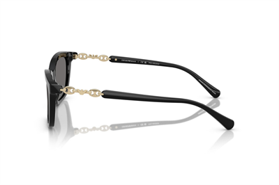 EMPORIO ARMANI EA 4238 501781 54
