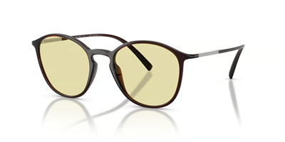 GIORGIO ARMANI AR 8233U (Güneşte Koyulaşan) 6239M4 51