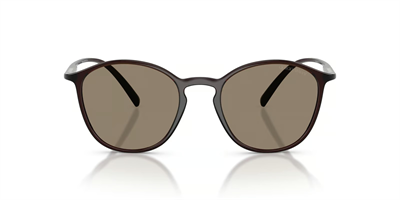 GIORGIO ARMANI AR 8233U (Güneşte Koyulaşan) 6239M4 51