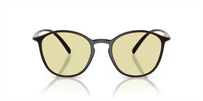 GIORGIO ARMANI AR 8233U (Güneşte Koyulaşan) 6239M4 51
