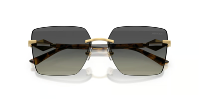 JIMMY CHOO JC 4018 302311 59