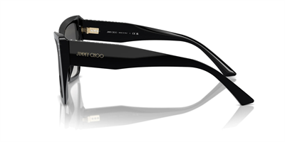 JIMMY CHOO JC 5001 50008G 54