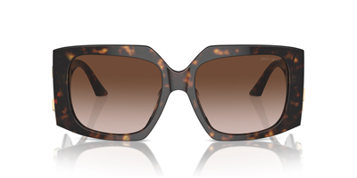 JIMMY CHOO JC 5006U 500213 55
