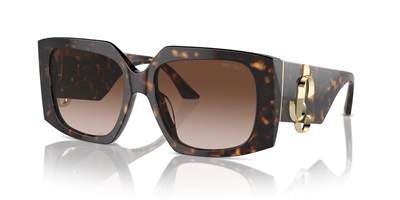 JIMMY CHOO JC 5006U 500213 55