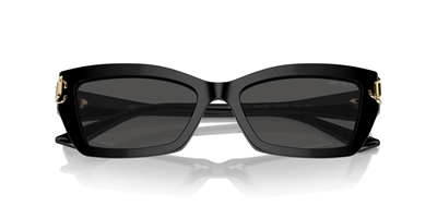 JIMMY CHOO JC 5011U 500087 55