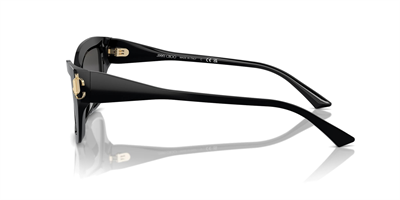 JIMMY CHOO JC 5011U 500087 55