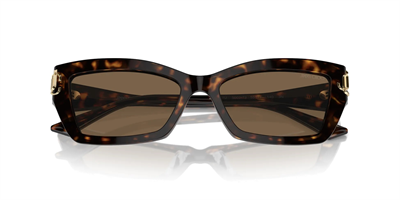 JIMMY CHOO JC 5011U 500273 55