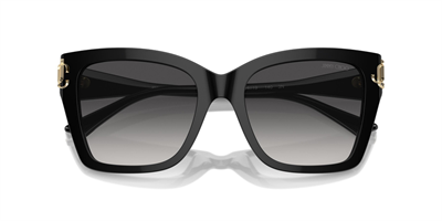 JIMMY CHOO JC 5012 50008G 54