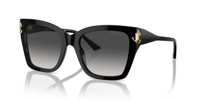 JIMMY CHOO JC 5012 50008G 54