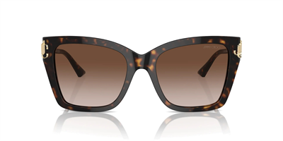 JIMMY CHOO JC 5012 500213 54