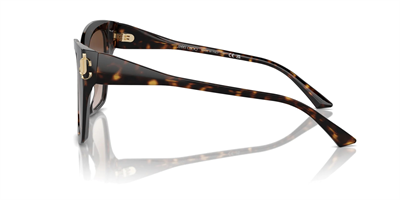 JIMMY CHOO JC 5012 500213 54