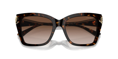 JIMMY CHOO JC 5012 500213 54