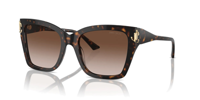 JIMMY CHOO JC 5012 500213 54