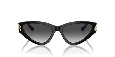 JIMMY CHOO JC 5019 50008G 55