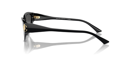 JIMMY CHOO JC 5019 50008G 55