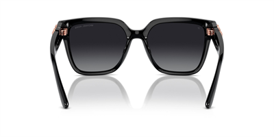 MICHAEL KORS MK 2170U Karlie 3005T3 54