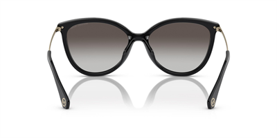 MICHAEL KORS MK 2184U Dupont 30058G 58
