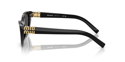 MIU MIU SMU A04S 16K08Z 54