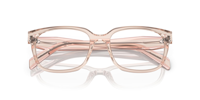 PRADA VPR 17ZV 15J1O1 54