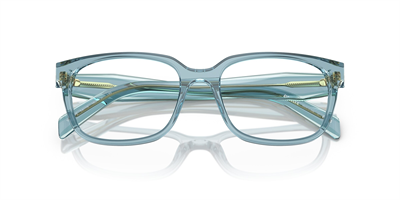 PRADA VPR 17ZV 16J1O1 54