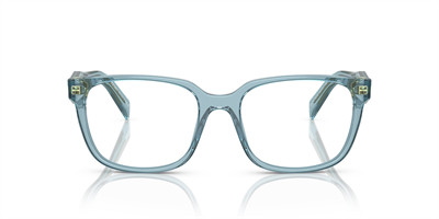 PRADA VPR 17ZV 16J1O1 54