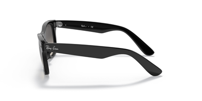 RAYBAN JUNIOR RJ 9066S Çocuk Wayfarer 100/11 47