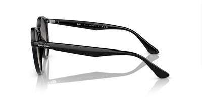 RAYBAN RB 2180 601/11 51