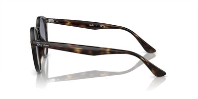 RAYBAN RB 2180 710/4L 49