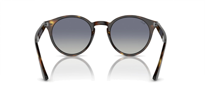 RAYBAN RB 2180 710/4L 49