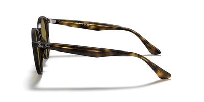 RAYBAN RB 2180 710/73 49