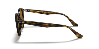 RAYBAN RB 2180 710/83 49