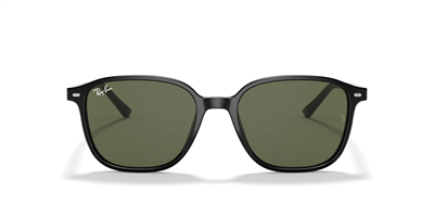 RAYBAN RB 2193 Leonard 901/31 53